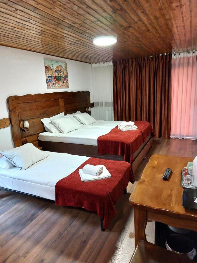 Vila Swe Sar Hotel Curtea de Argeş Екстериор снимка